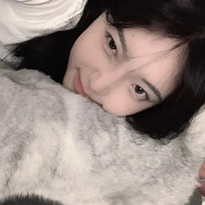 洗冤录之西夏铁棺